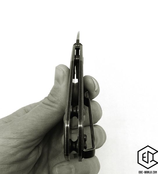 Ruike® : Taschenmesser P801-SB Black